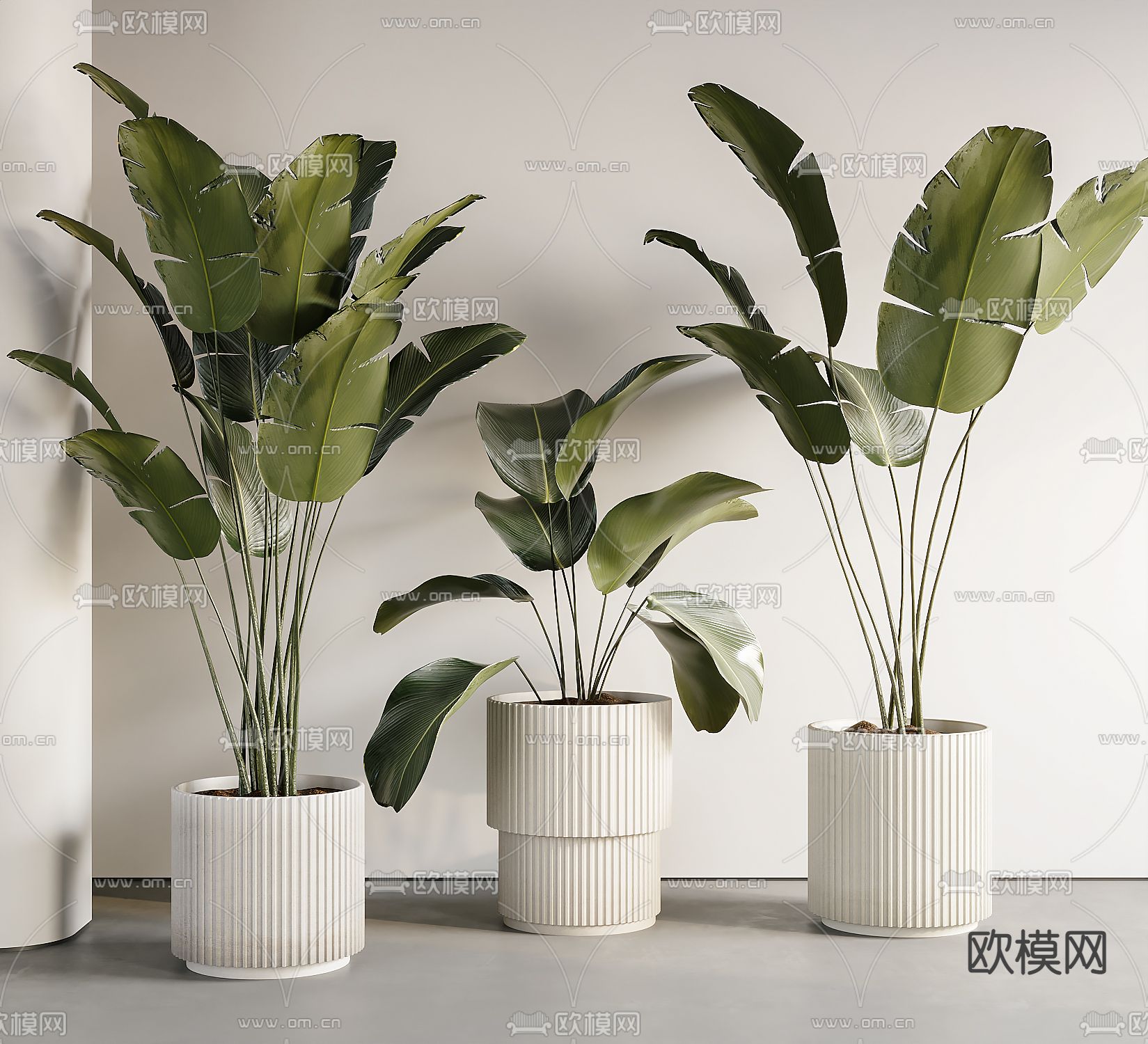 绿植盆栽 芭蕉叶3d模型下载