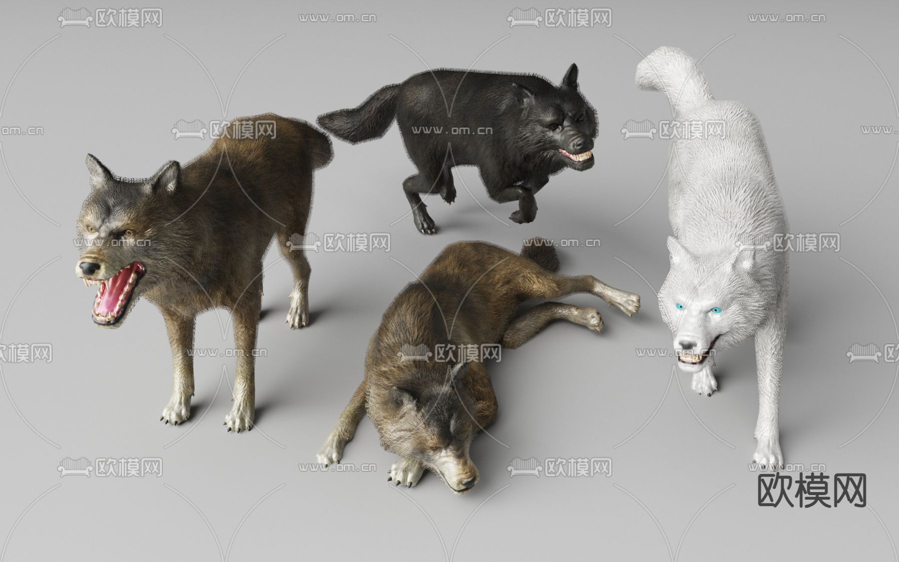狼狗3d模型下载