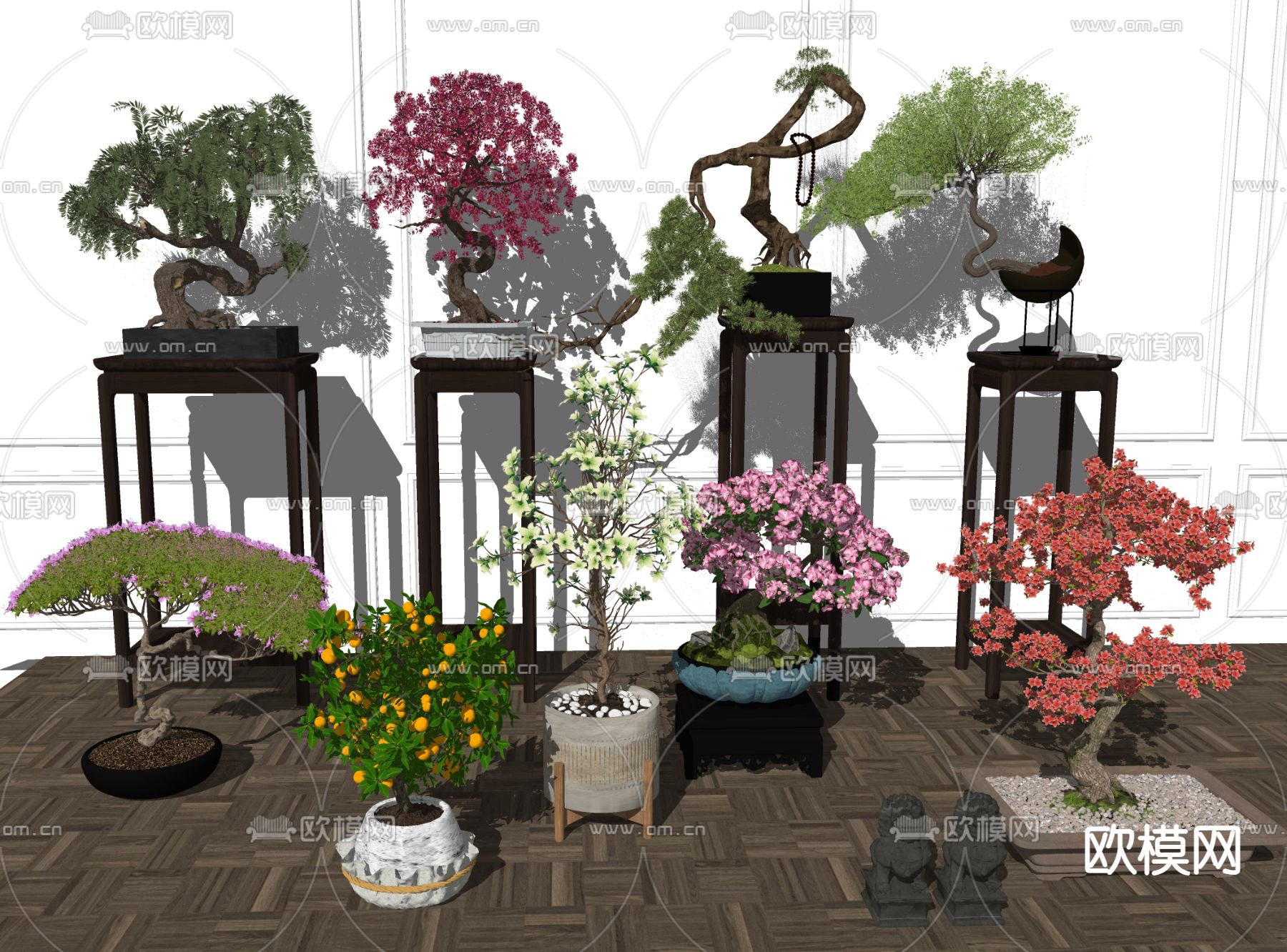 新中式松树 盆景 盆栽su模型下载（渲染图1）