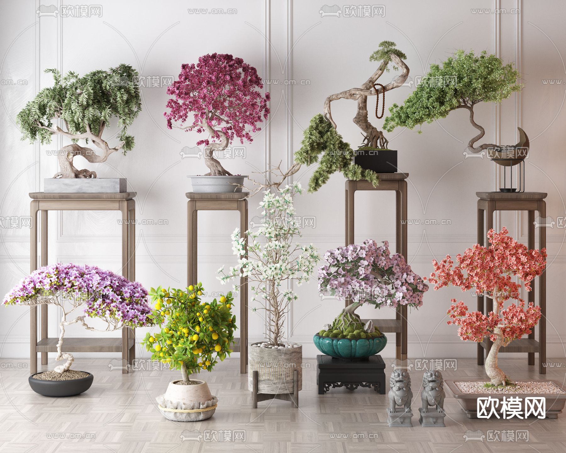 新中式松树 盆景 盆栽su模型下载（渲染图2）