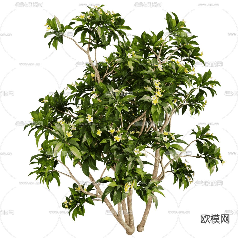 景观树 花树 树木 灌木3d模型下载