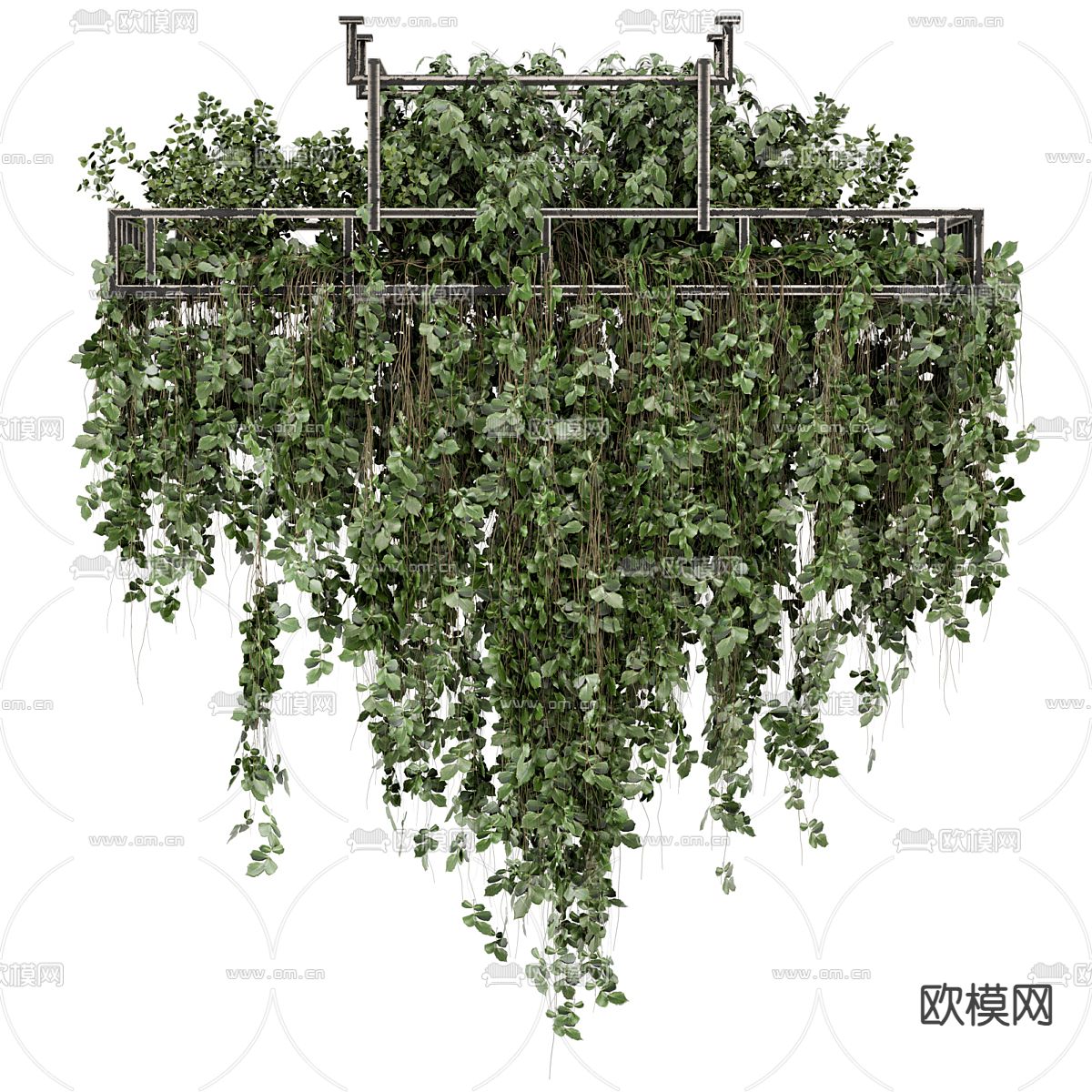 吊篮 悬挂植物3d模型下载（渲染图2）