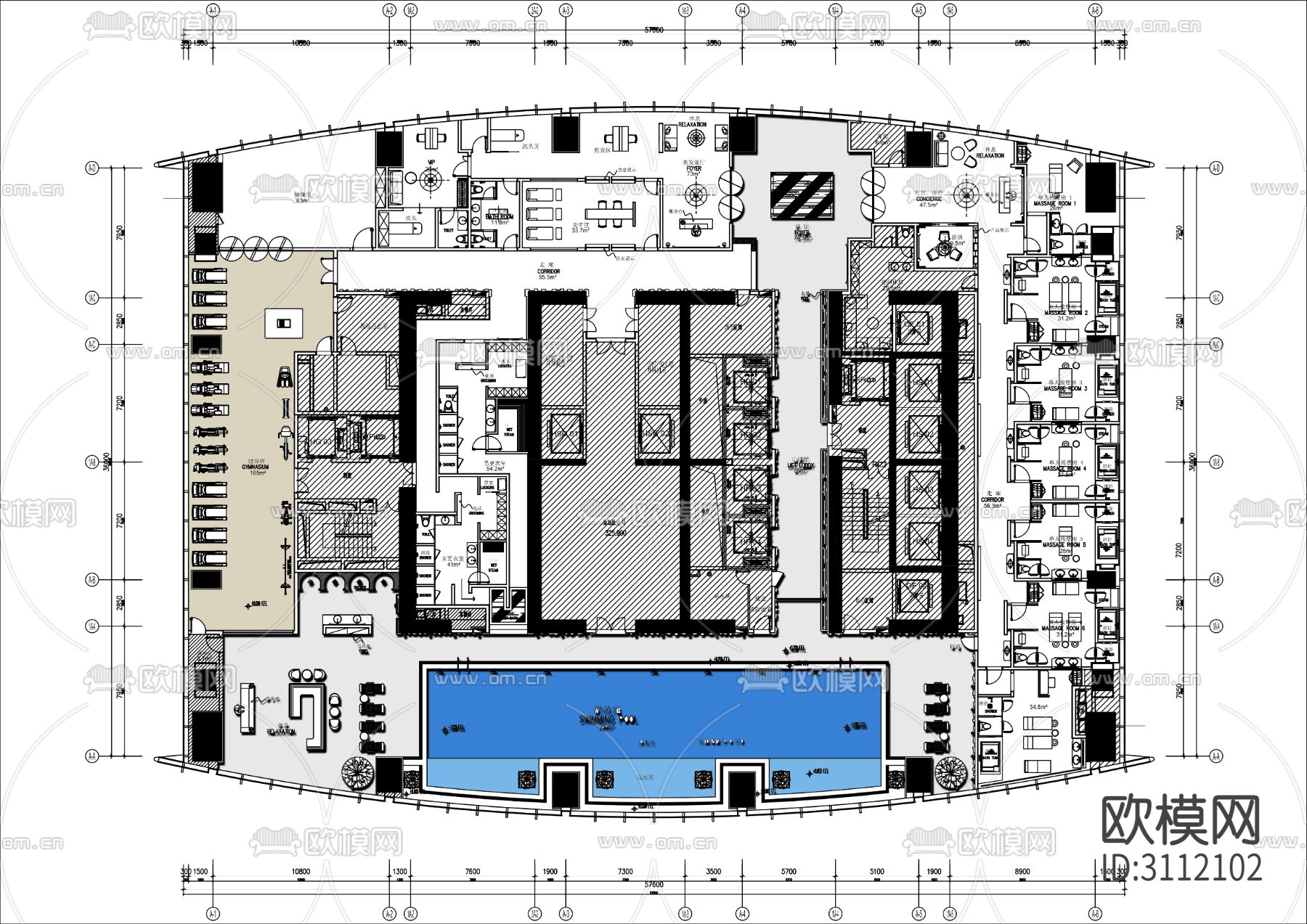 游泳池 健身会所cad平面布置图下载（渲染图1）