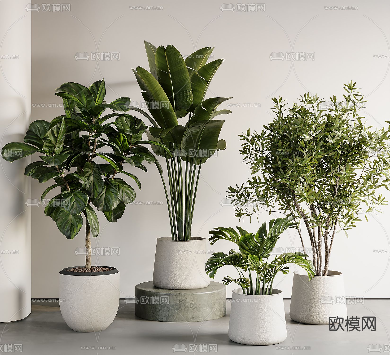 绿植盆栽 盆景su模型