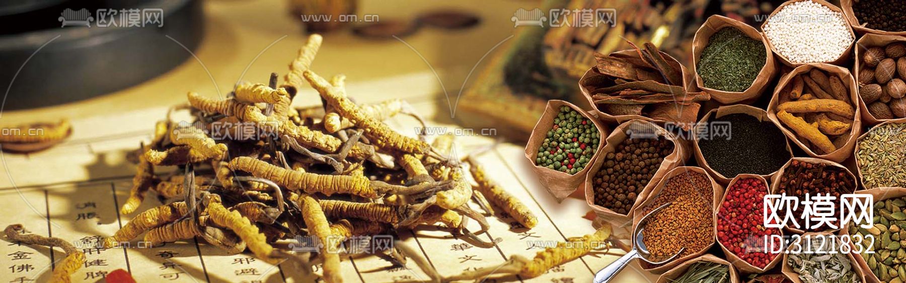 冬虫夏草 草药 背景屏幕 装饰画贴图下载