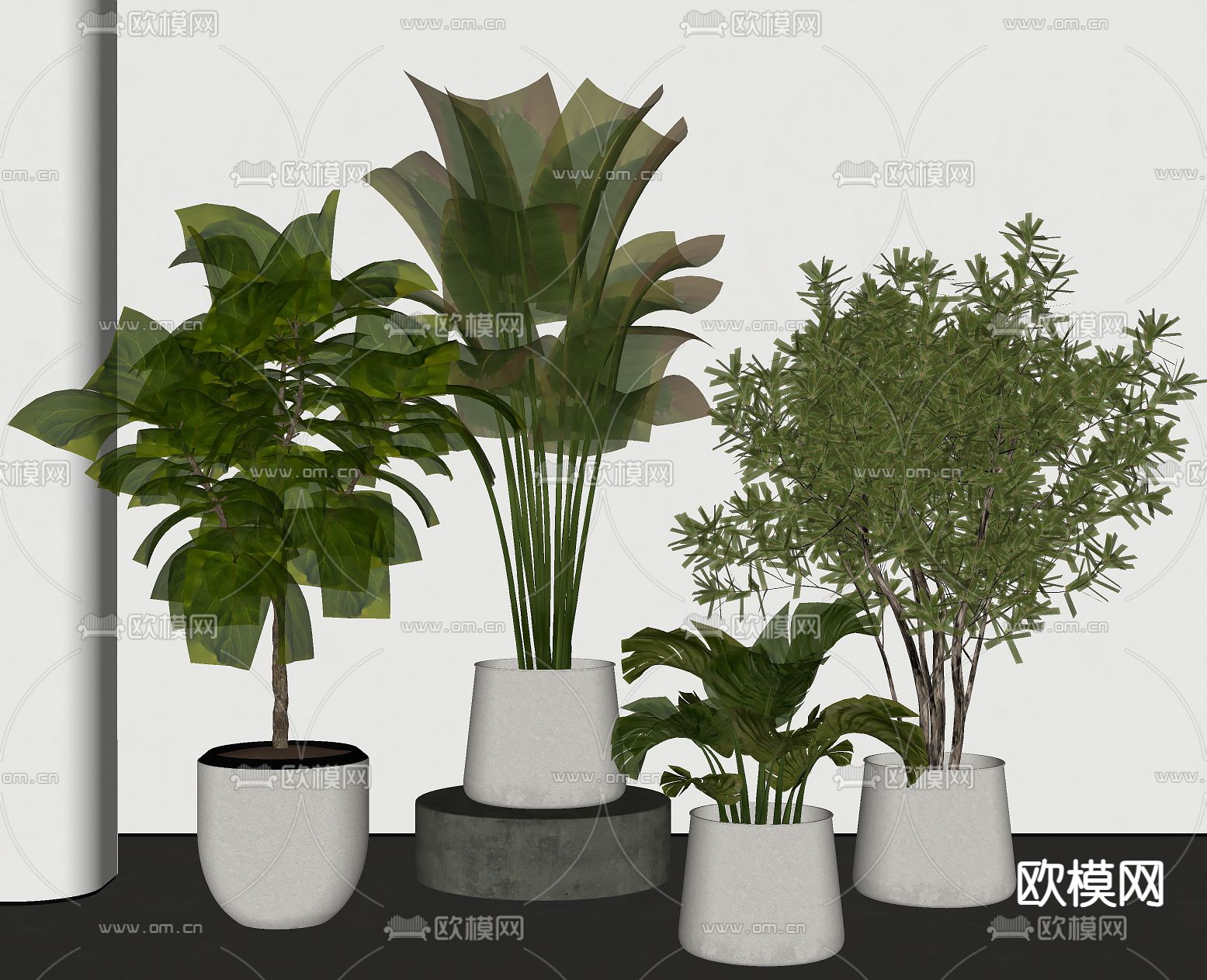 绿植盆栽 盆景su模型