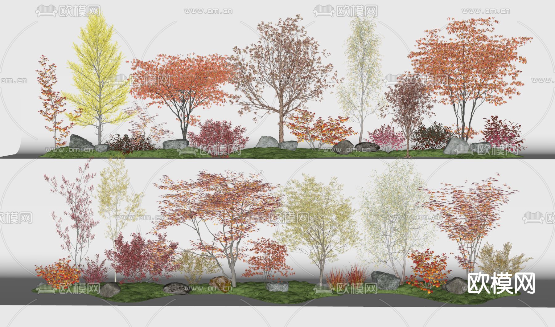 树 景观树 秋景树 枫叶su模型下载（渲染图2）