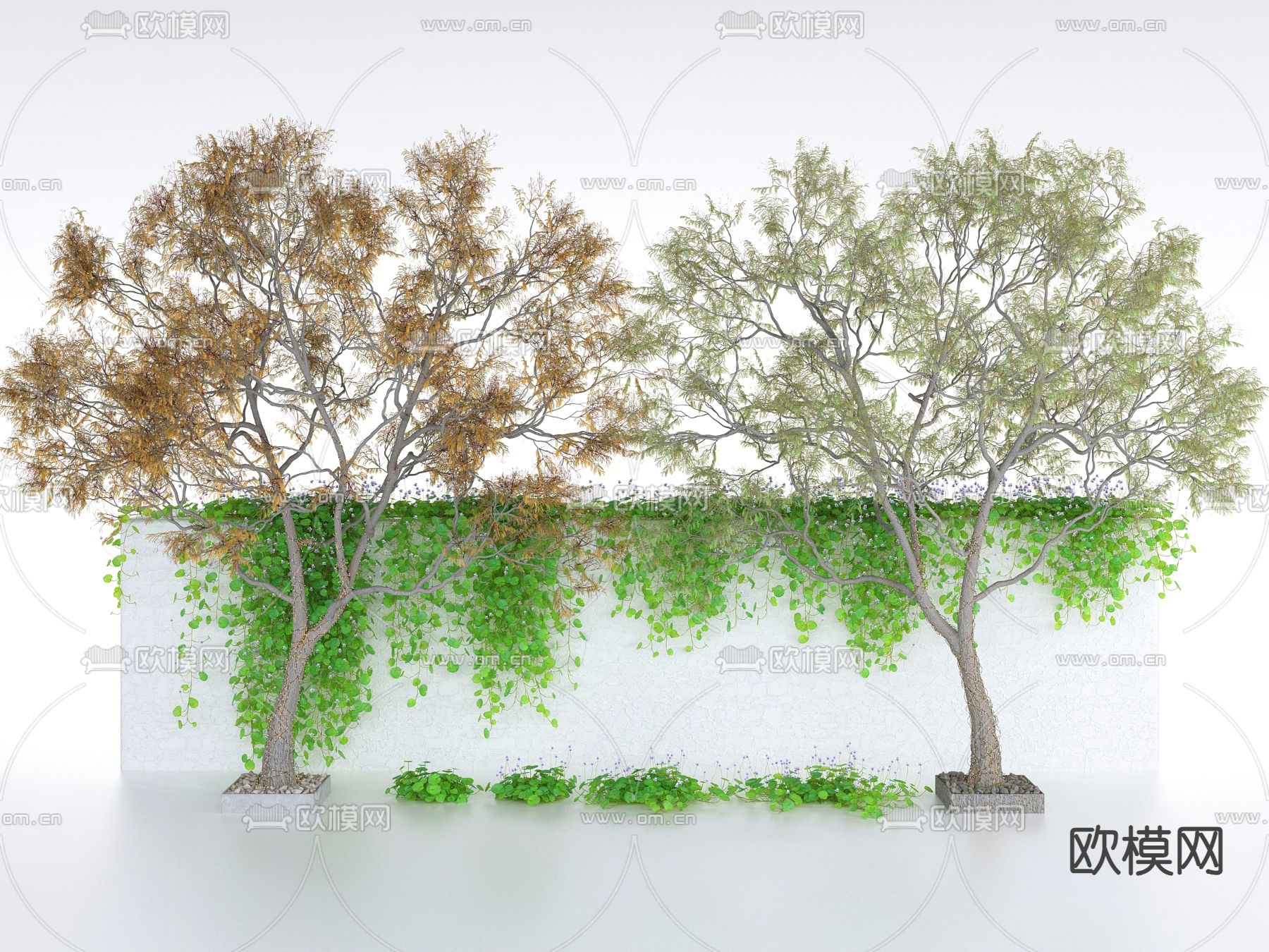 藤蔓 爬藤 爬山虎 景观树 围墙3d模型下载