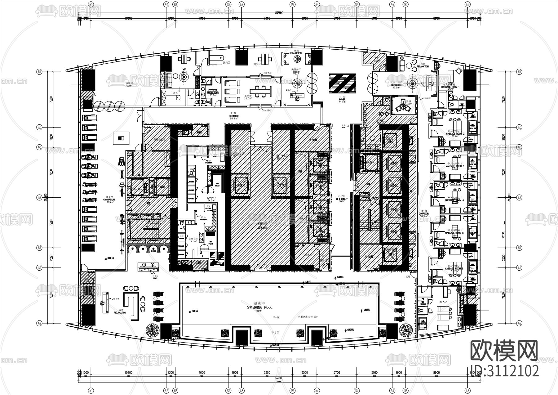 游泳池 健身会所cad平面布置图下载（渲染图2）