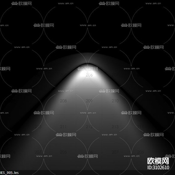 IES_005光域網(wǎng)下載