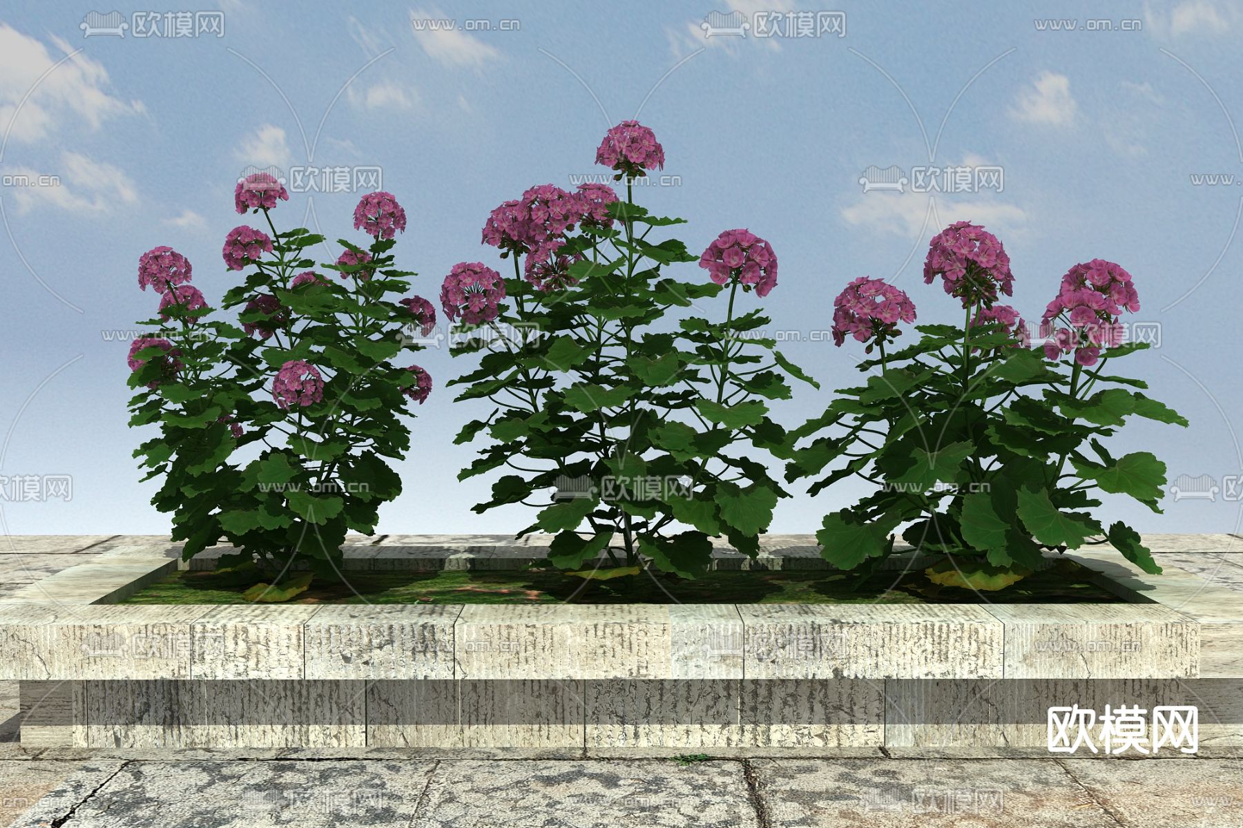 花草 花卉 杂草3d模型下载（渲染图1）