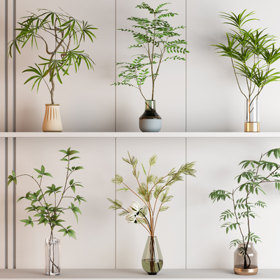  水生植物 花瓶su模型 