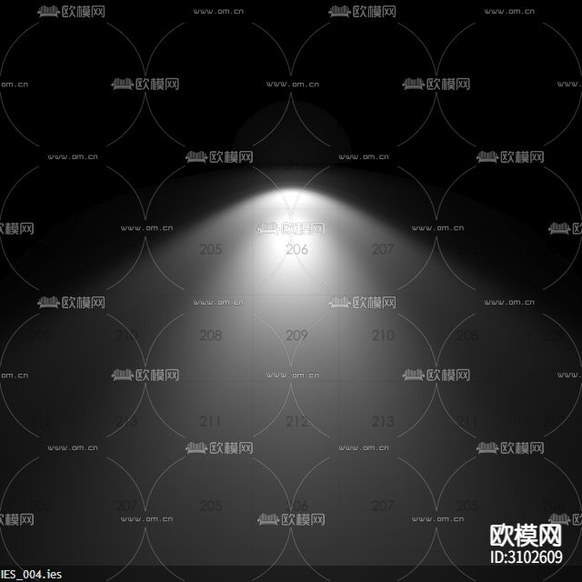 IES_004光域網(wǎng)下載
