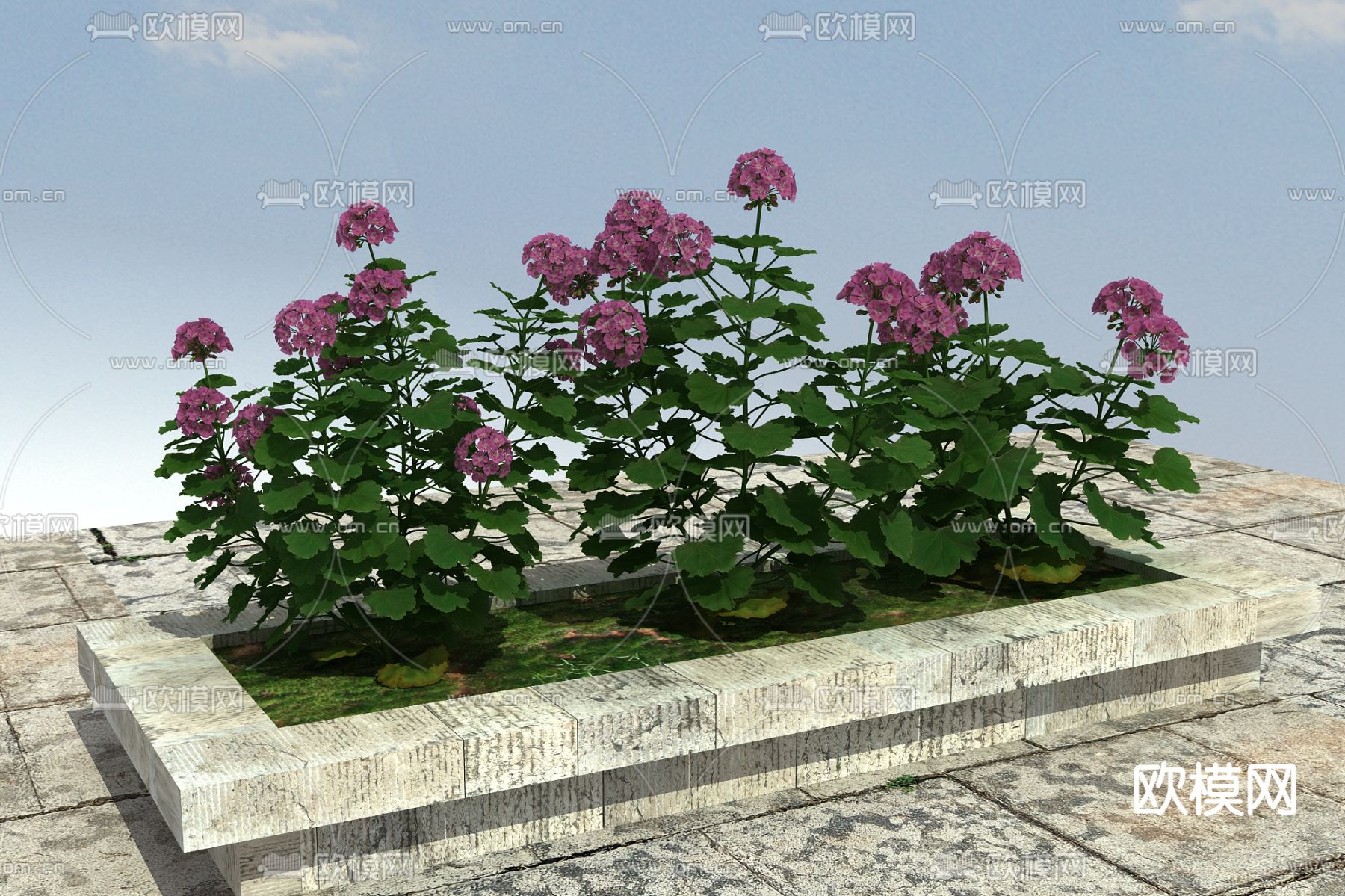 花草 花卉 杂草3d模型下载（渲染图2）