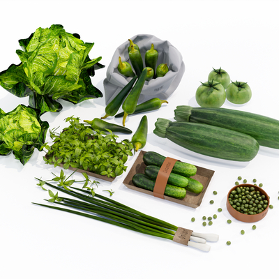  现代蔬菜su模型 