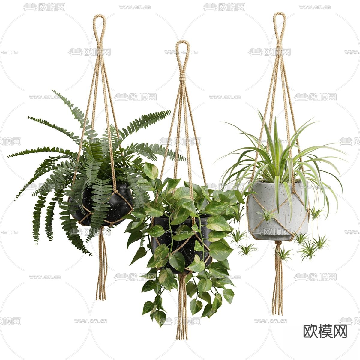 盆栽 盆景 吊篮 绿植3d模型下载（渲染图1）