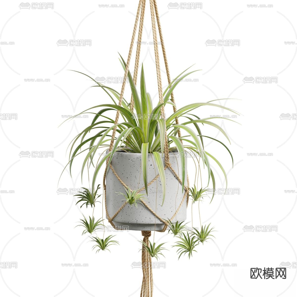 盆栽 盆景 吊篮 绿植3d模型下载（渲染图6）