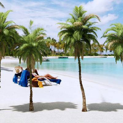  现代椰子树 棕榈树su模型 