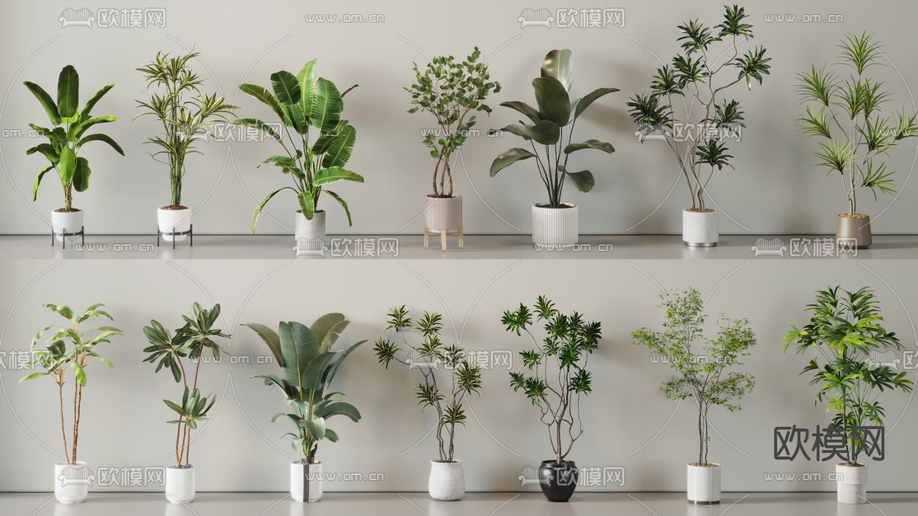 绿植盆栽 盆景3d模型下载