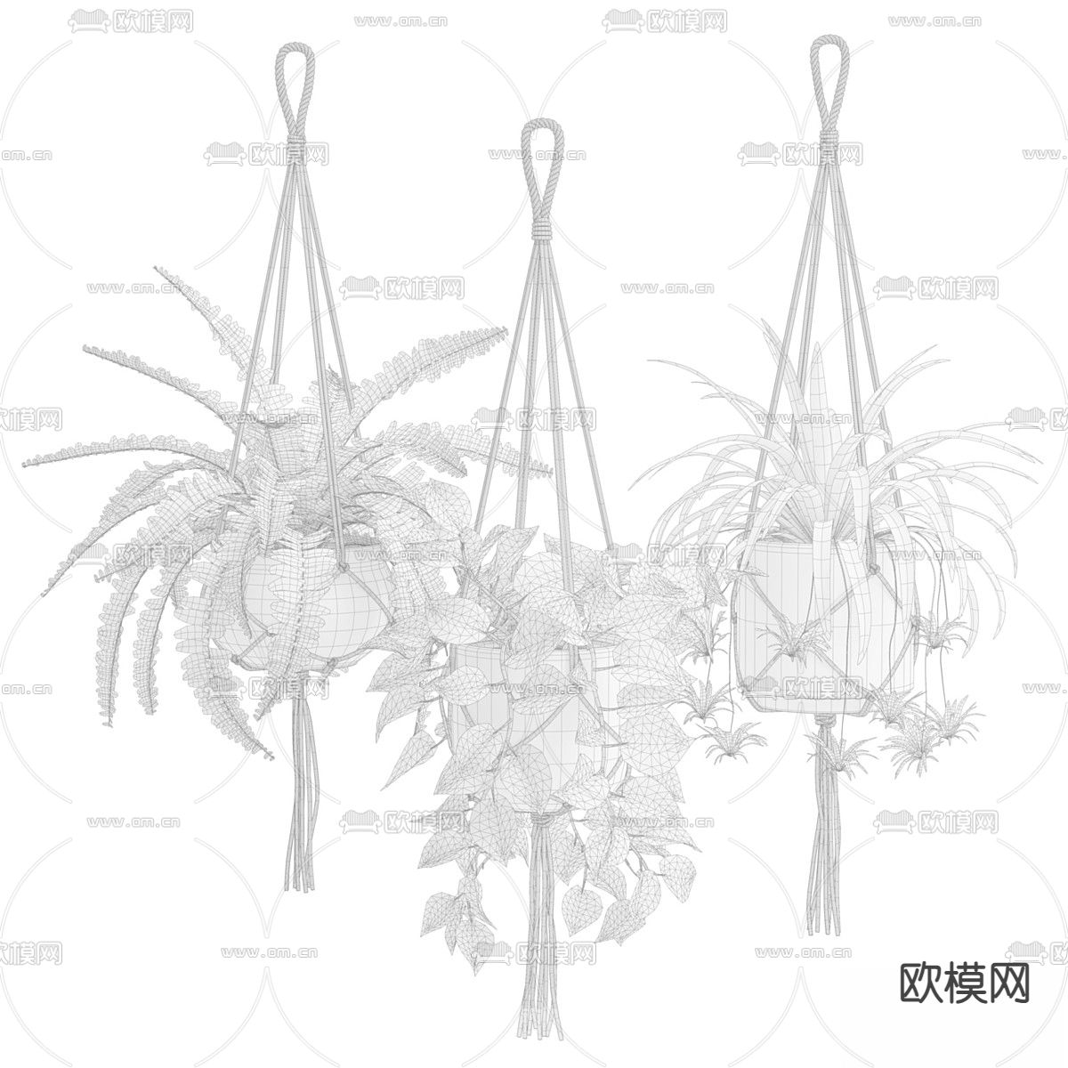 盆栽 盆景 吊篮 绿植3d模型下载（渲染图3）
