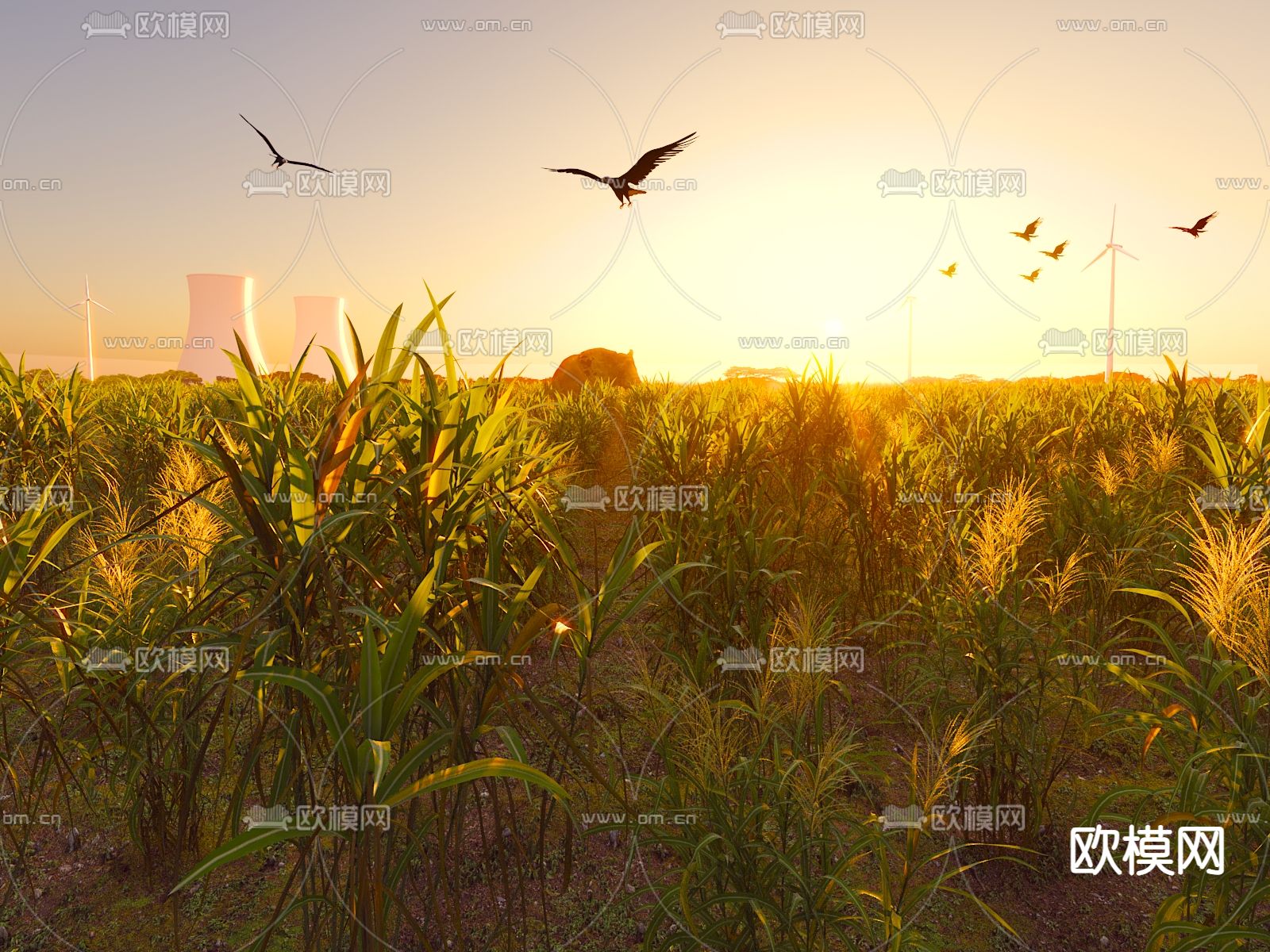 农作物 玉米谷物 稻田 田地3d模型下载