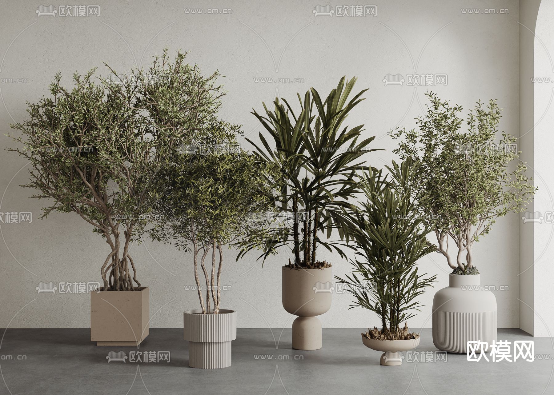 绿植盆栽 盆景3d模型下载