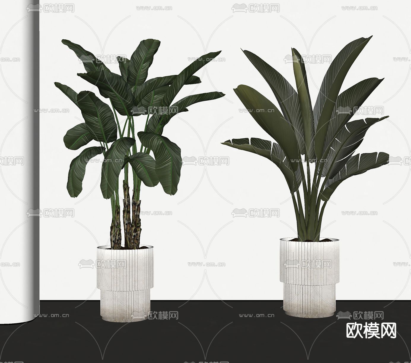 现代植物盆栽 芭蕉叶su模型下载（渲染图1）