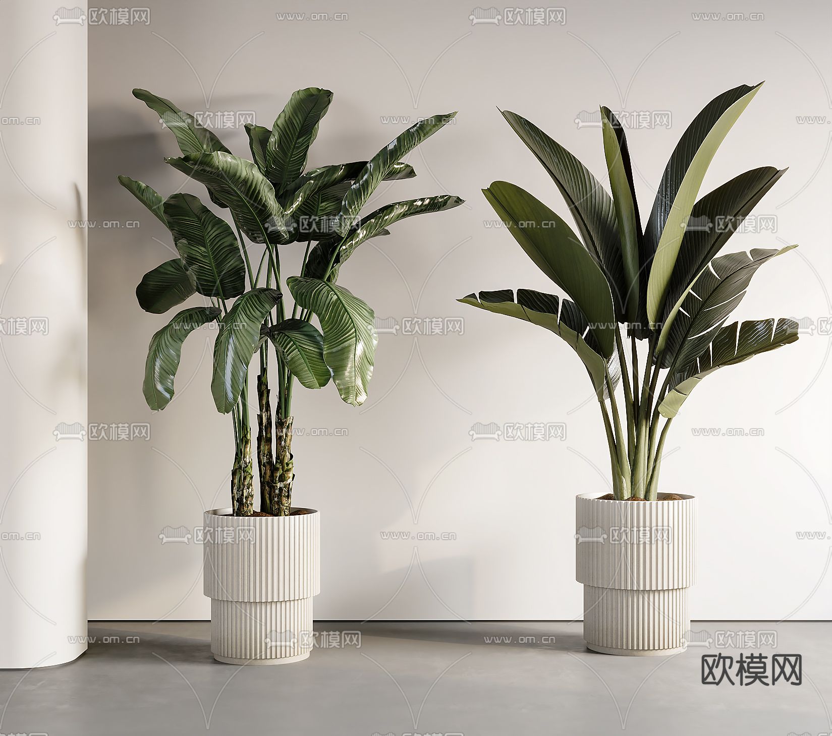 现代植物盆栽 芭蕉叶su模型下载（渲染图2）