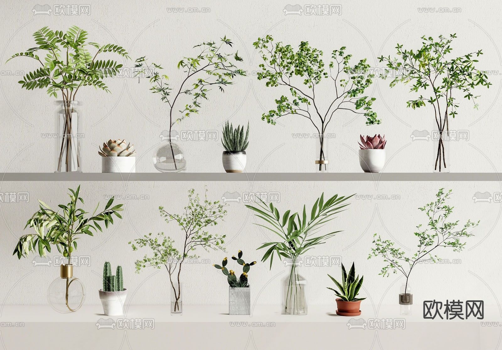 水培绿植 水生绿植3d模型下载