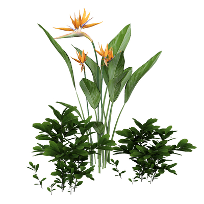  植物 花卉 绿植su模型 