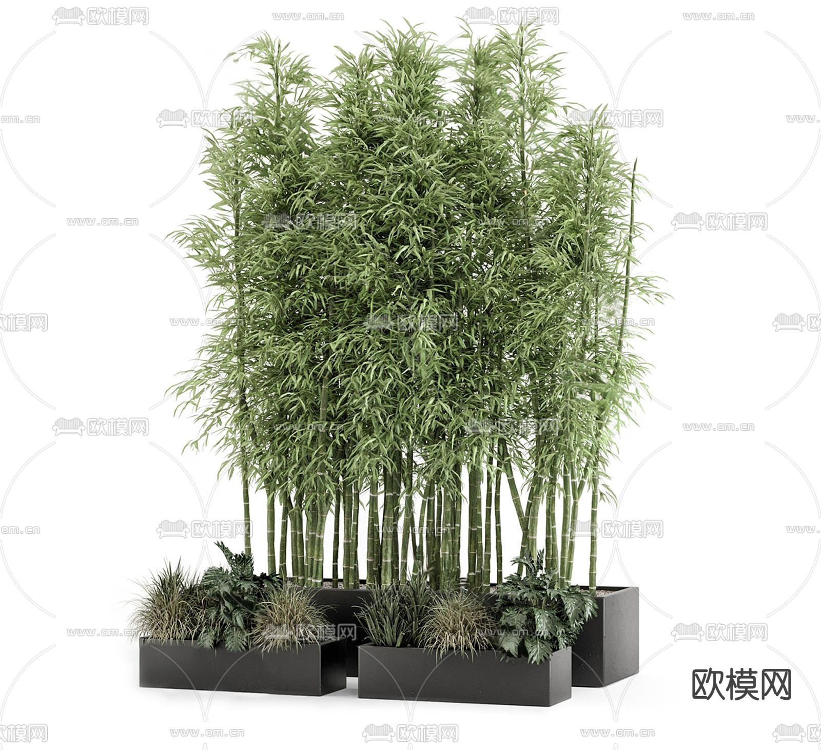 现代竹子su模型下载（渲染图2）