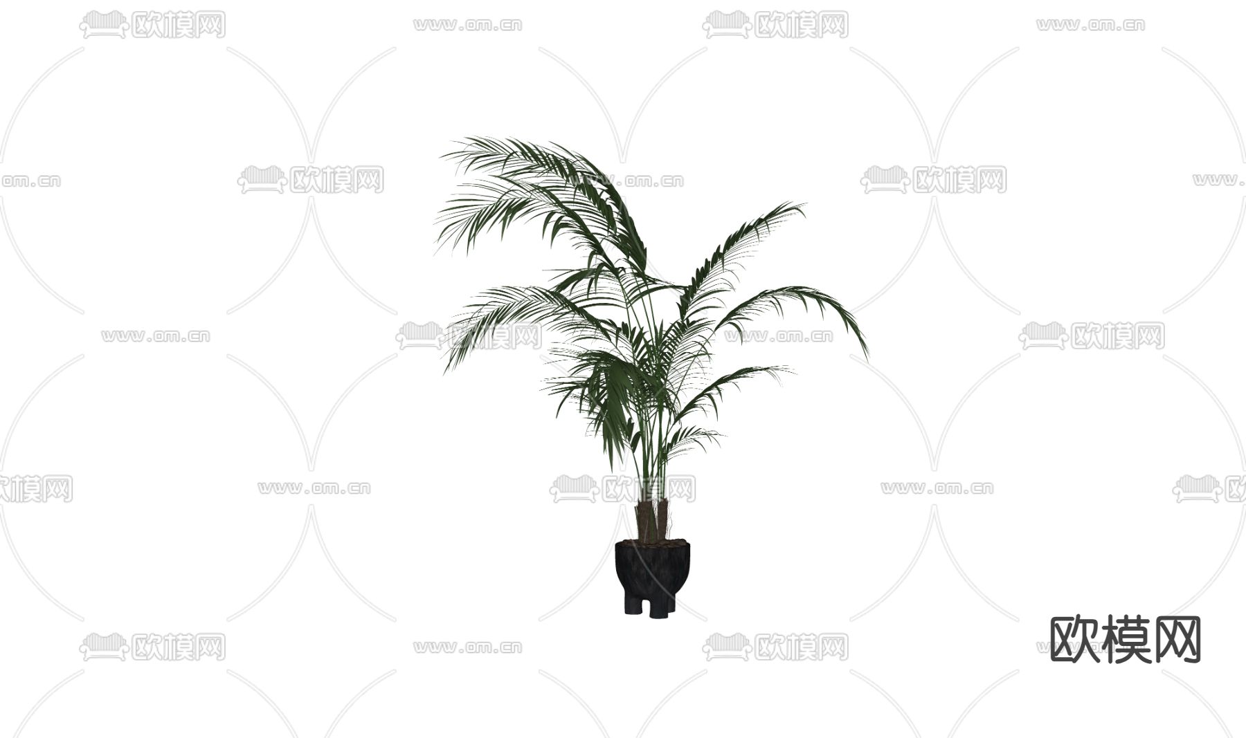 植物 盆栽su模型下载（渲染图1）