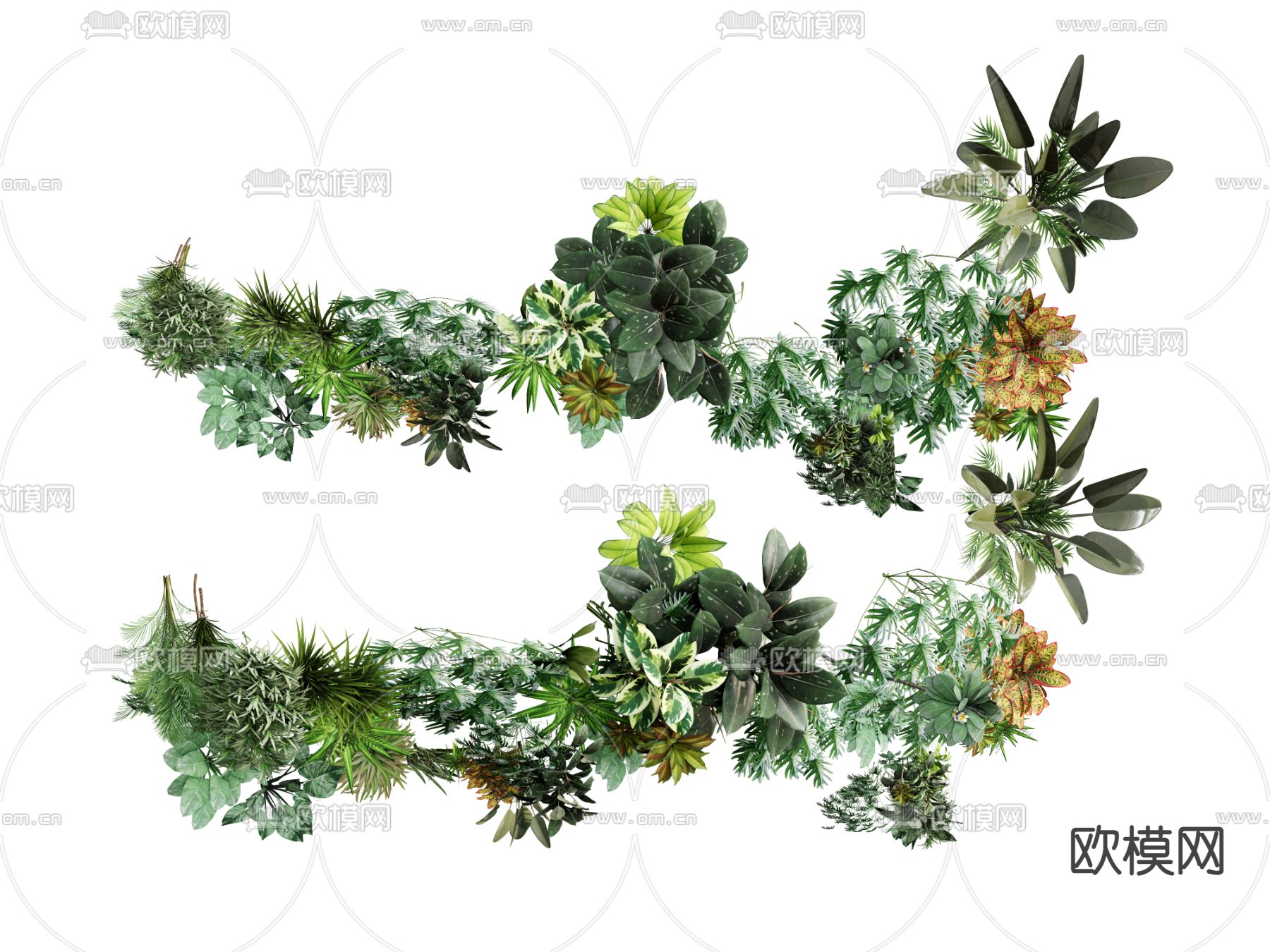 绿植 吊篮 热带植物su模型下载（渲染图2）