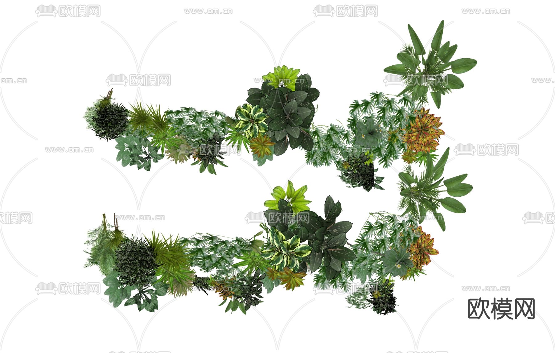 绿植 吊篮 热带植物su模型下载（渲染图1）