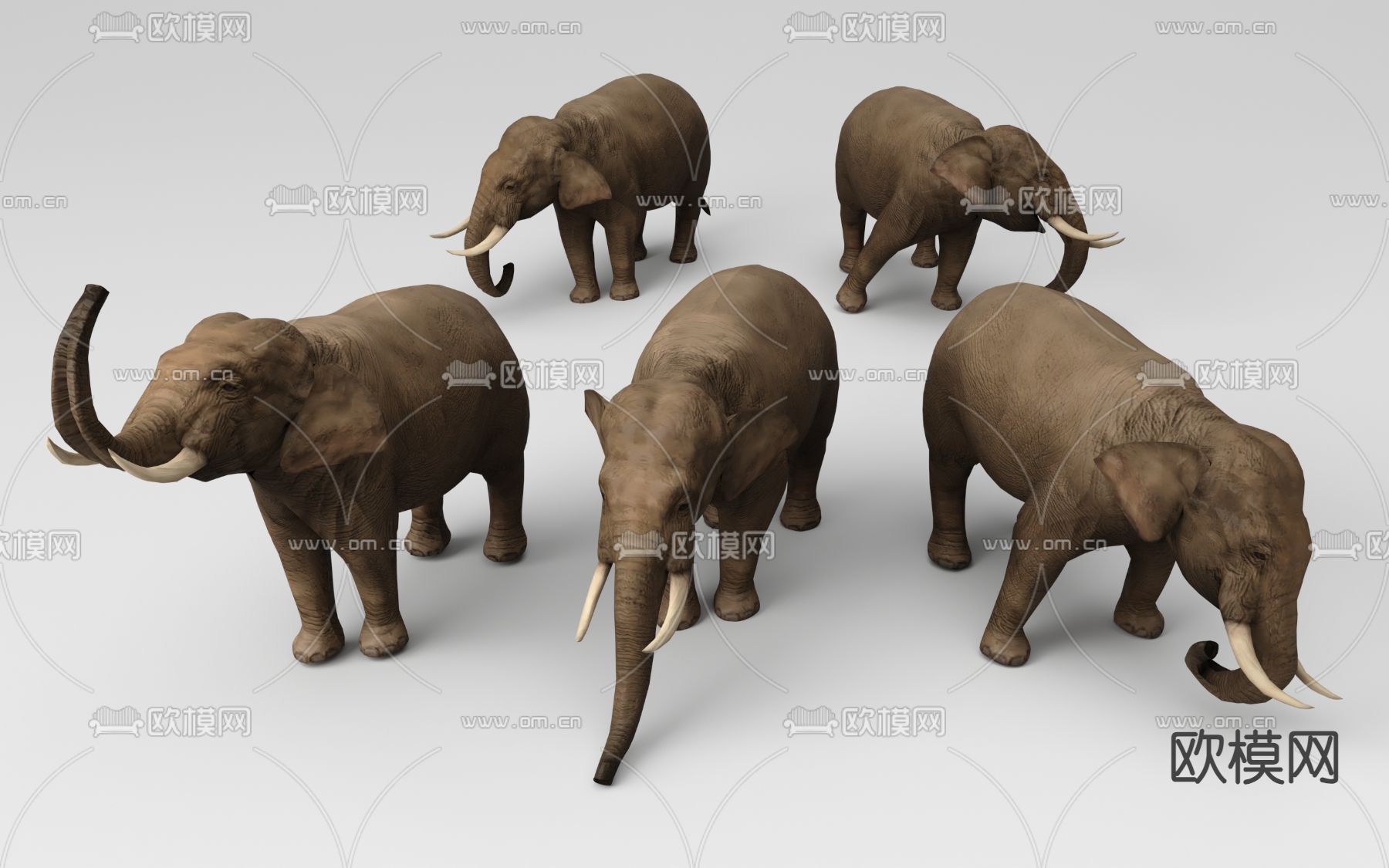 大象3d模型下载