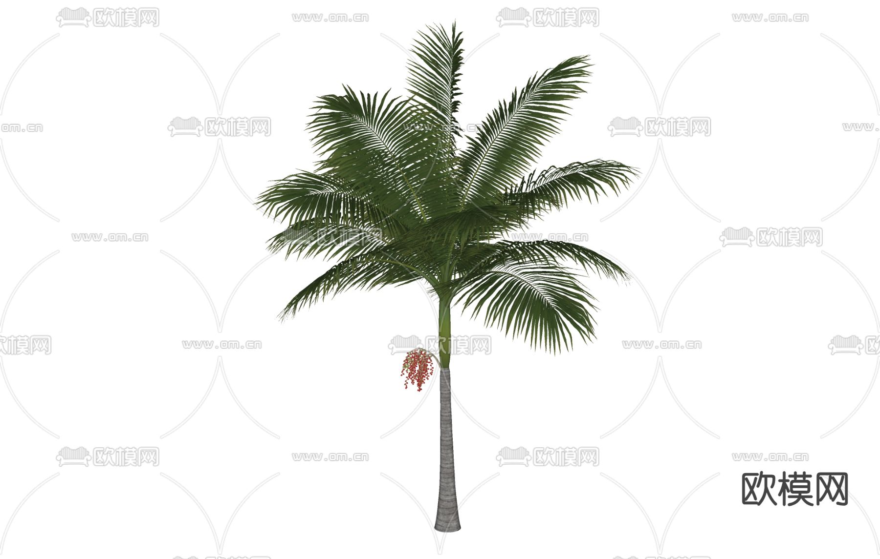 树木 棕榈树 橡树su模型下载（渲染图1）