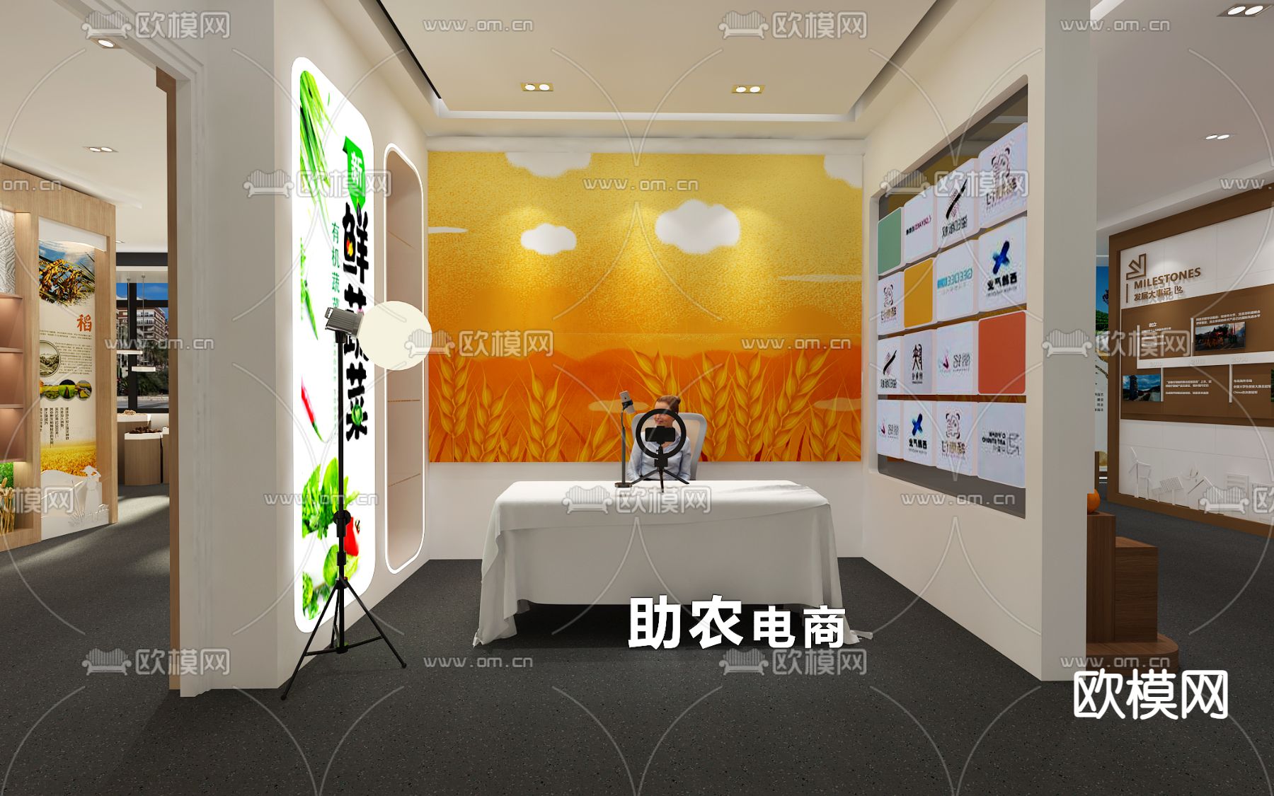 现代农产品展厅 直播间su模型下载（渲染图4）