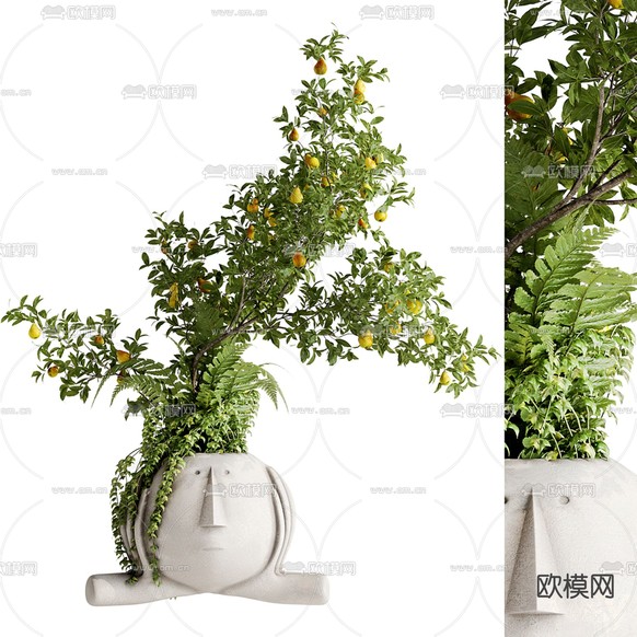 盆景 盆栽3d模型下载(渲染图1)