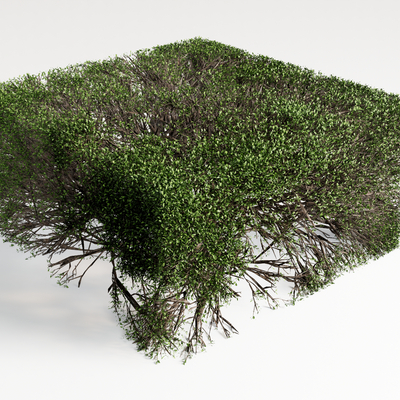  植物绿植su模型 