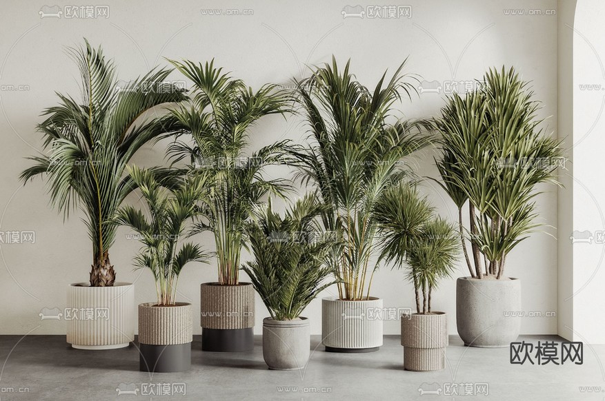 植物盆栽 室内盆栽3d模型下载