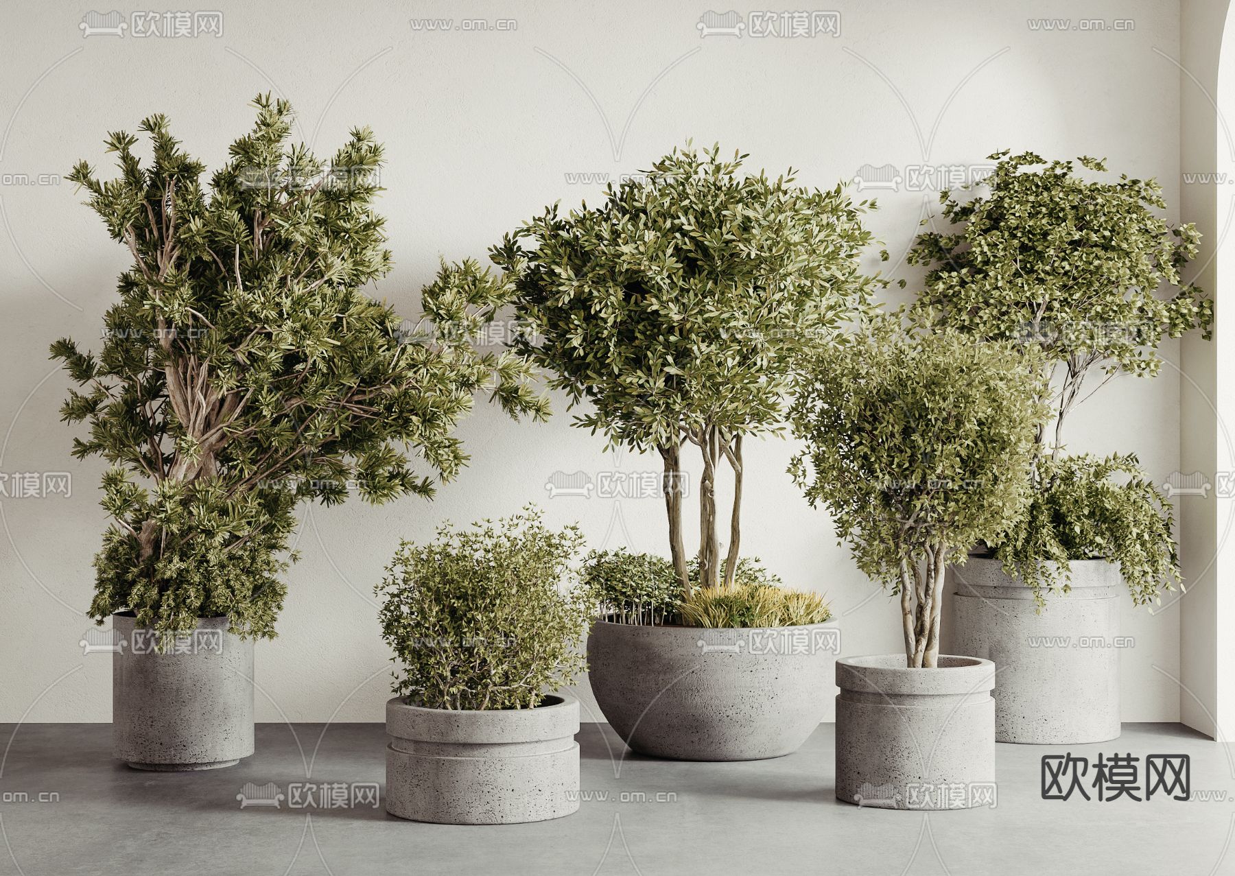 植物盆栽 室内盆栽3d模型下载