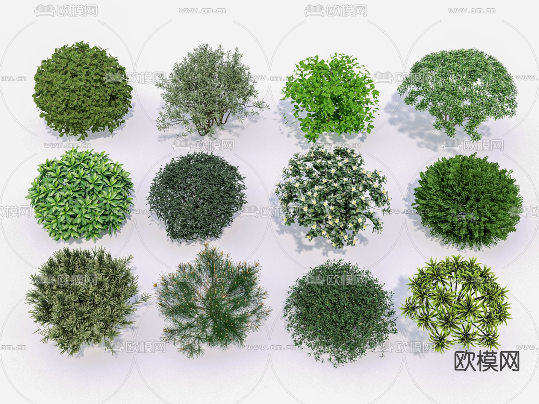 景观灌木球 花卉 灌木植物su模型下载（渲染图1）