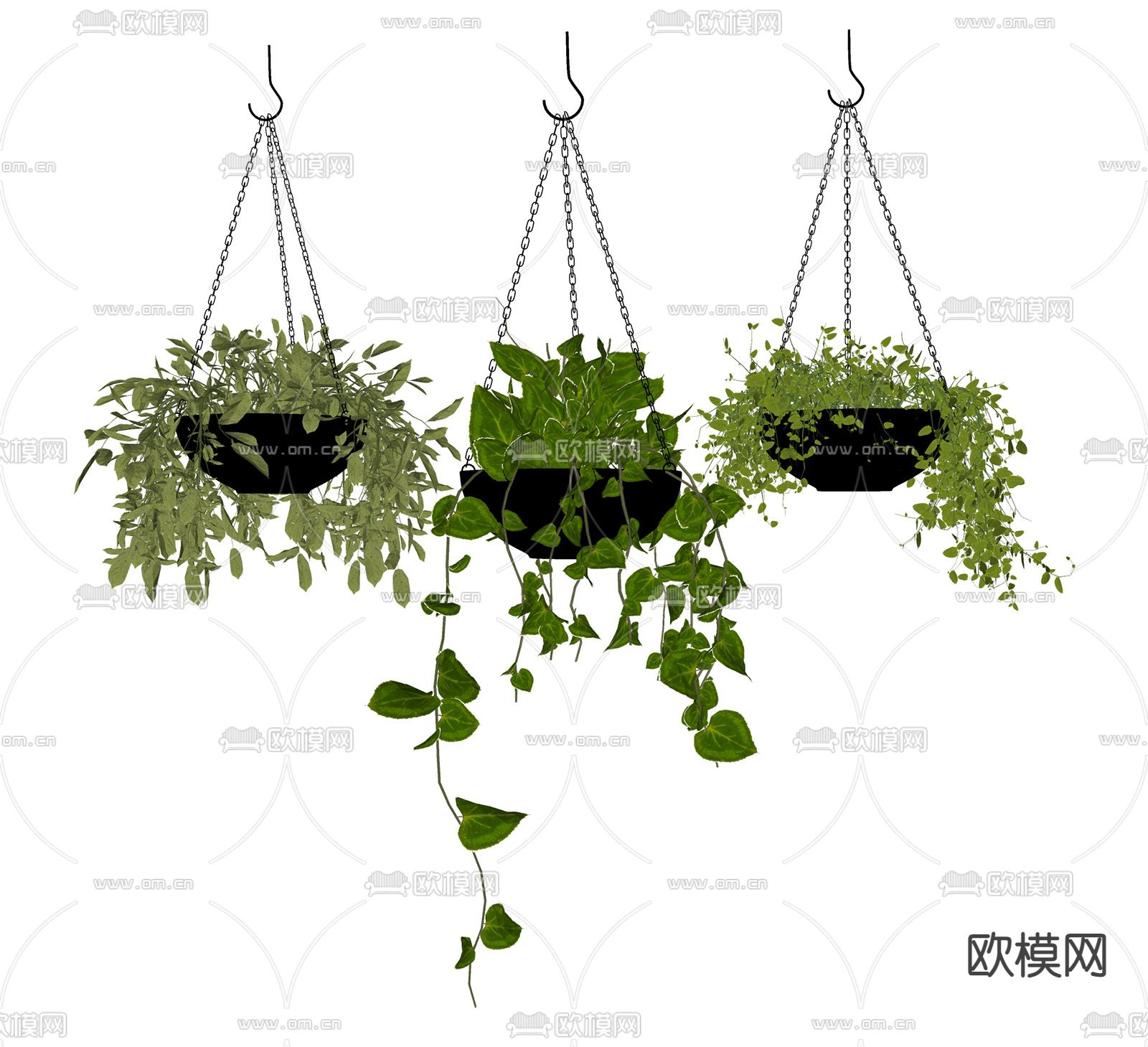 现代植物 吊篮su模型下载（渲染图1）