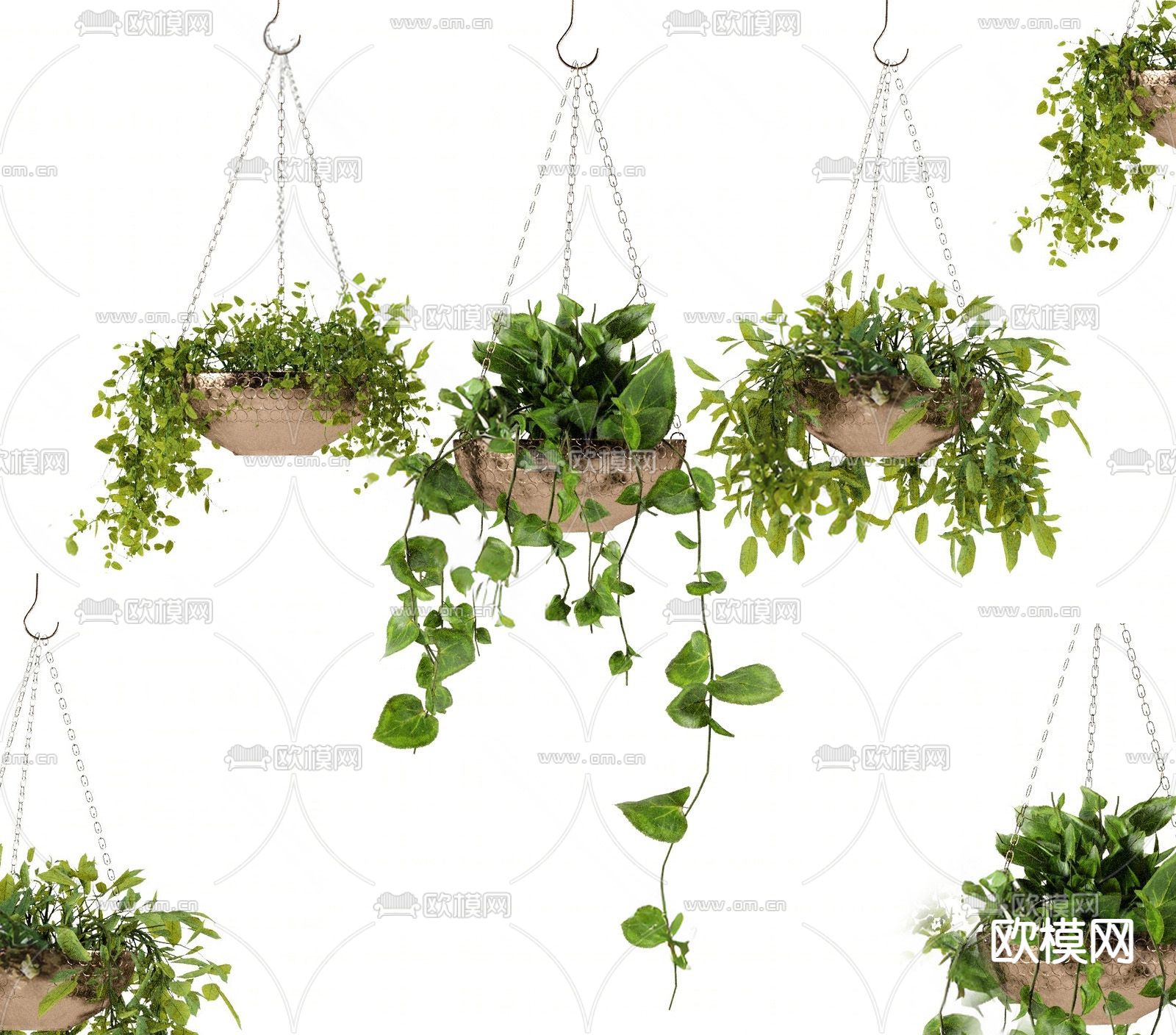 现代植物 吊篮su模型下载（渲染图2）