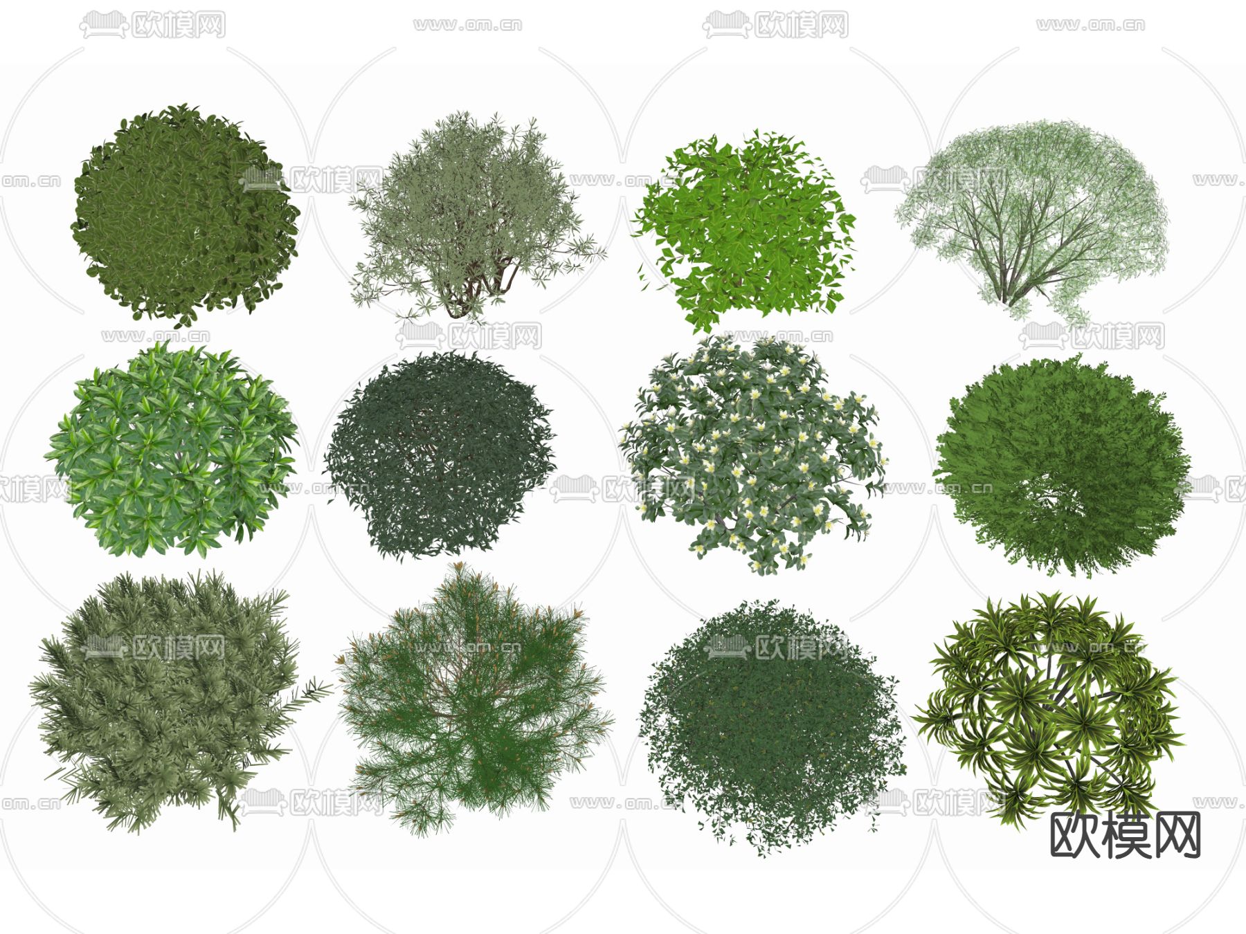 景观灌木球 花卉 灌木植物su模型下载（渲染图2）