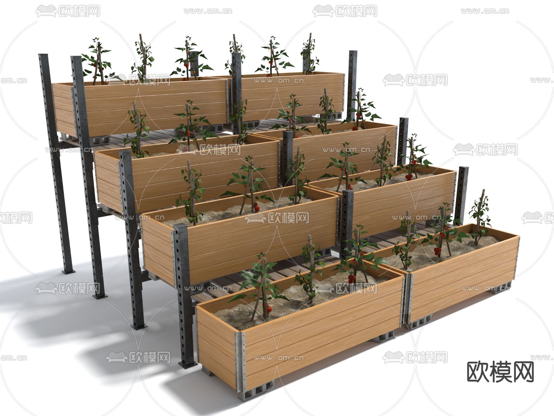 蔬菜盆栽 蔬菜架 农作物3d模型下载
