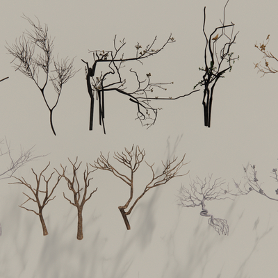  干枝 树枝 树干 艺术装饰su模型 
