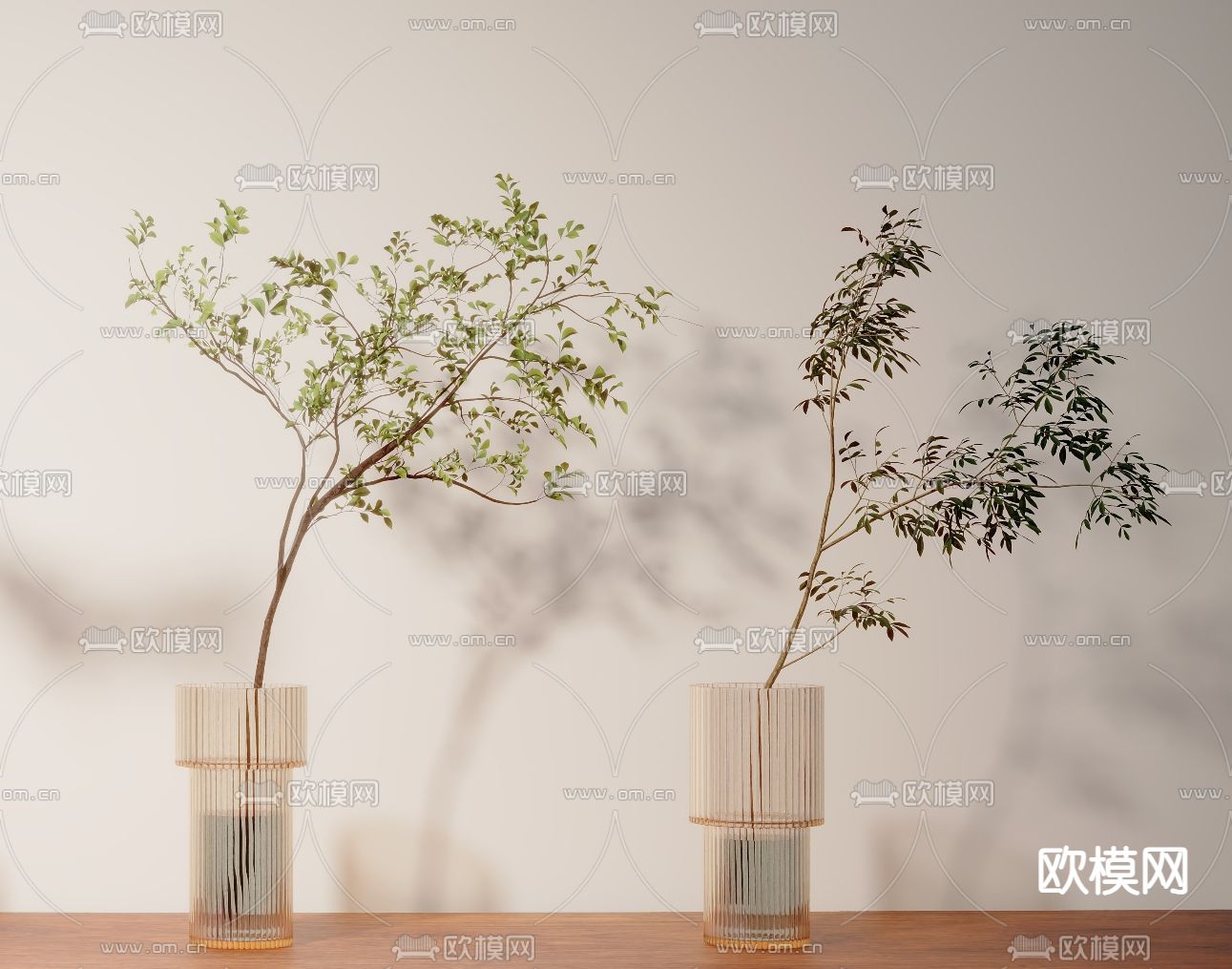 绿植 植物花瓶3d模型下载（渲染图2）
