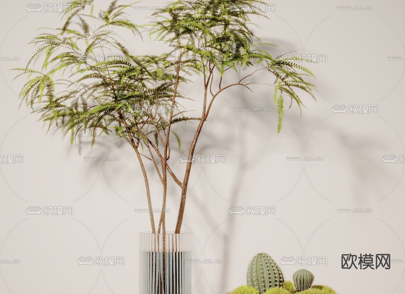 植物 盆栽绿植3d模型下载（渲染图2）