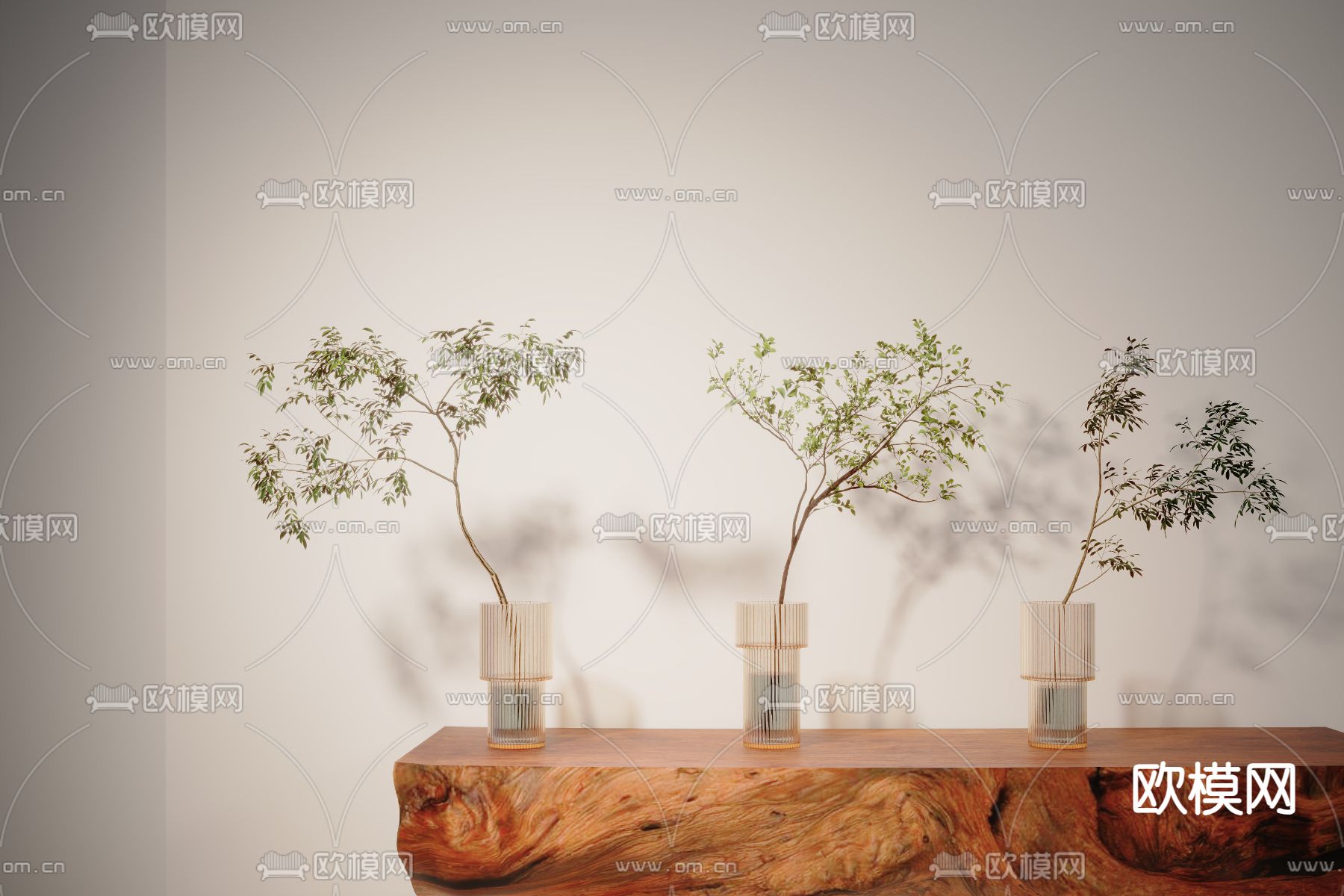 绿植 植物花瓶3d模型下载（渲染图1）